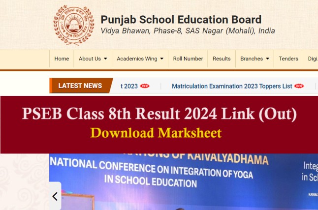 Punjab Board Class 8th Result 2024 Name Wise