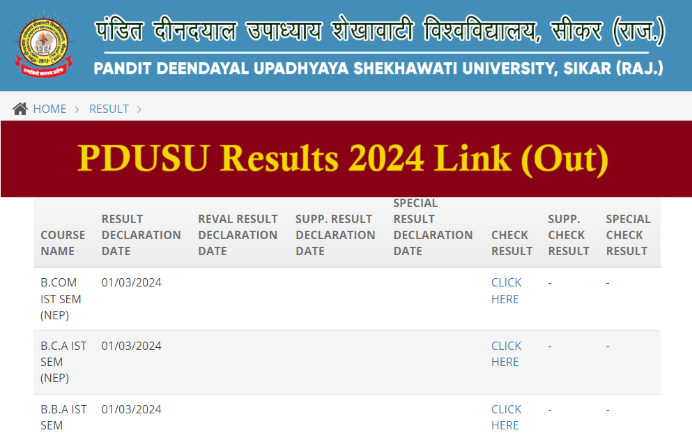 PDUSU Results 2024 Link